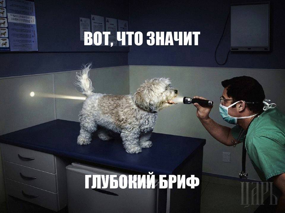 1977228_719853368058849_135317040_n.jpg