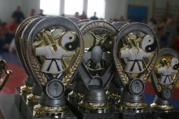 В Московской области прошел Х открытый турнир по самбо