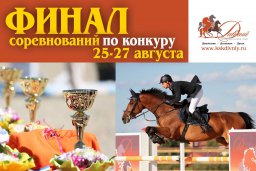 В Подмосковье пройдёт финал "Кубка Развития"