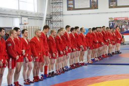 Итоги "Кубка командующего ВДВ по самбо" 