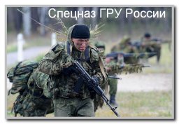 Спецназ: все о войсковой элите страны