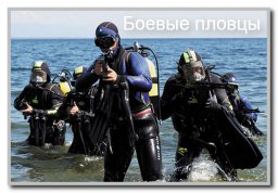 Спецназ: все о войсковой элите страны
