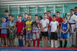 В Пучеже соревновались будущие олимпийцы