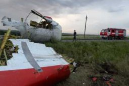 Р.Есаян: О сбитом малазийском "Боинге"