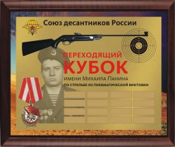 Кубок М.Панина прошел в Раменском
