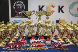 Открытый чемпионат по каратэ в Иваново